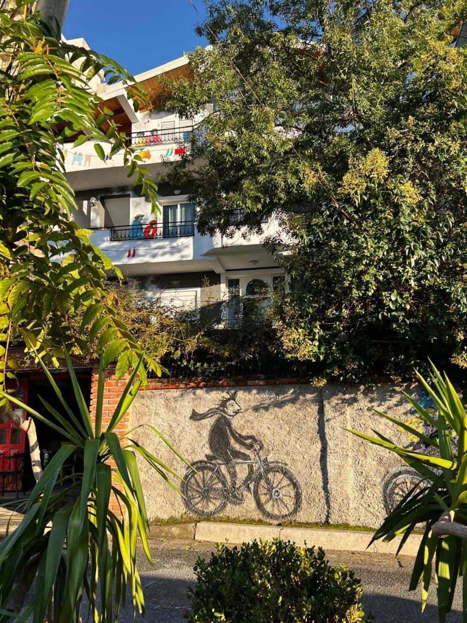 Divina Hostel Tirana Buitenkant foto